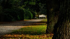 Self-Care Ideas for Mental Health in Early Recovery