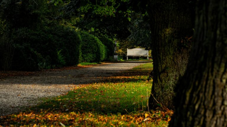 Self-Care Ideas for Mental Health in Early Recovery